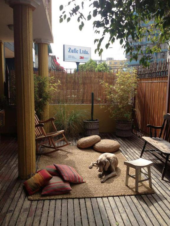 Backpacker'S Hostel Iquique Eksteriør bilde
